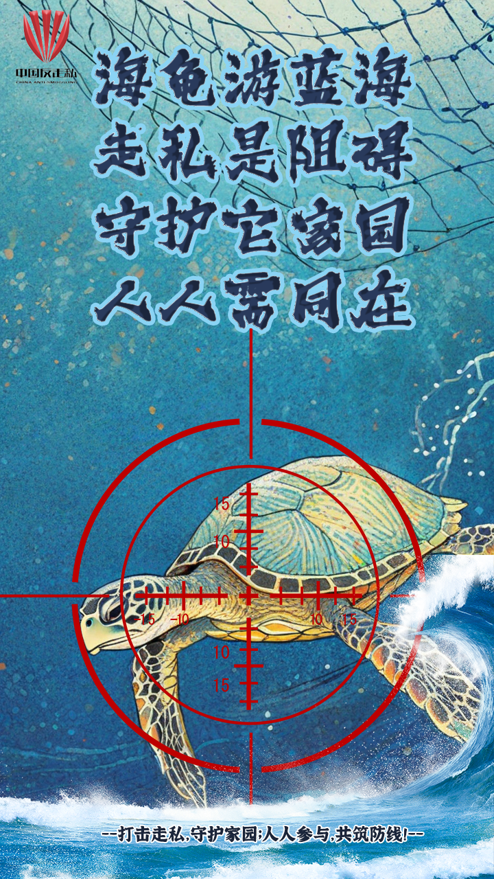 微信图片_20241224140224.png