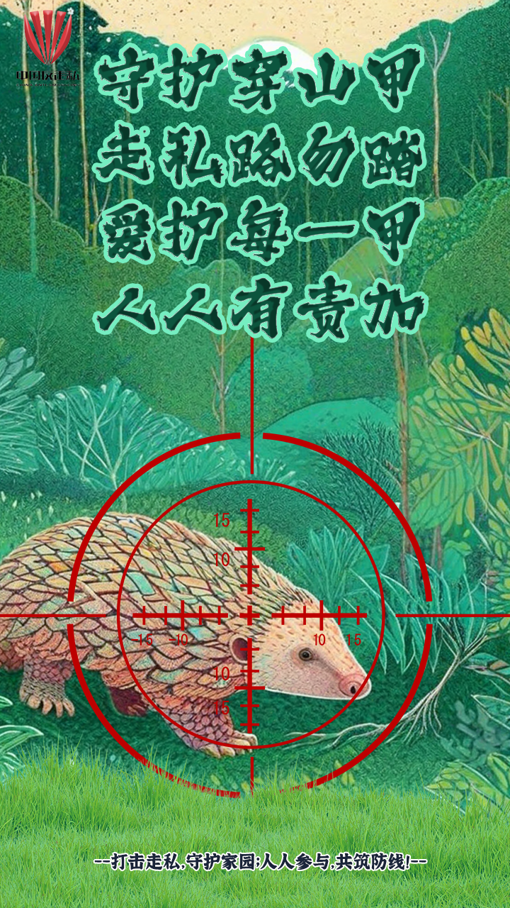 微信图片_20241224140220.png